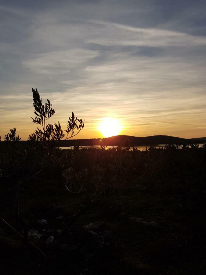 Seaview Toni * Milna (Brac)